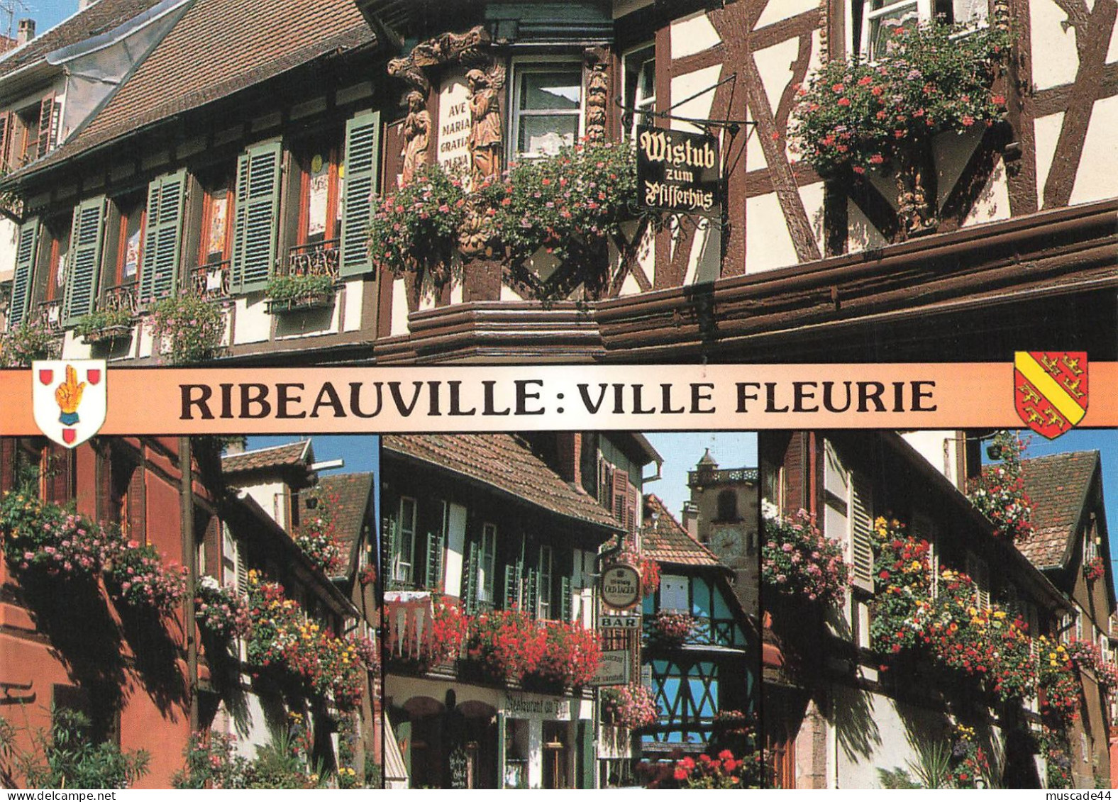 RIBEAUVILLE - VILLE FLEURIE - MULTI VUES - Ribeauvillé