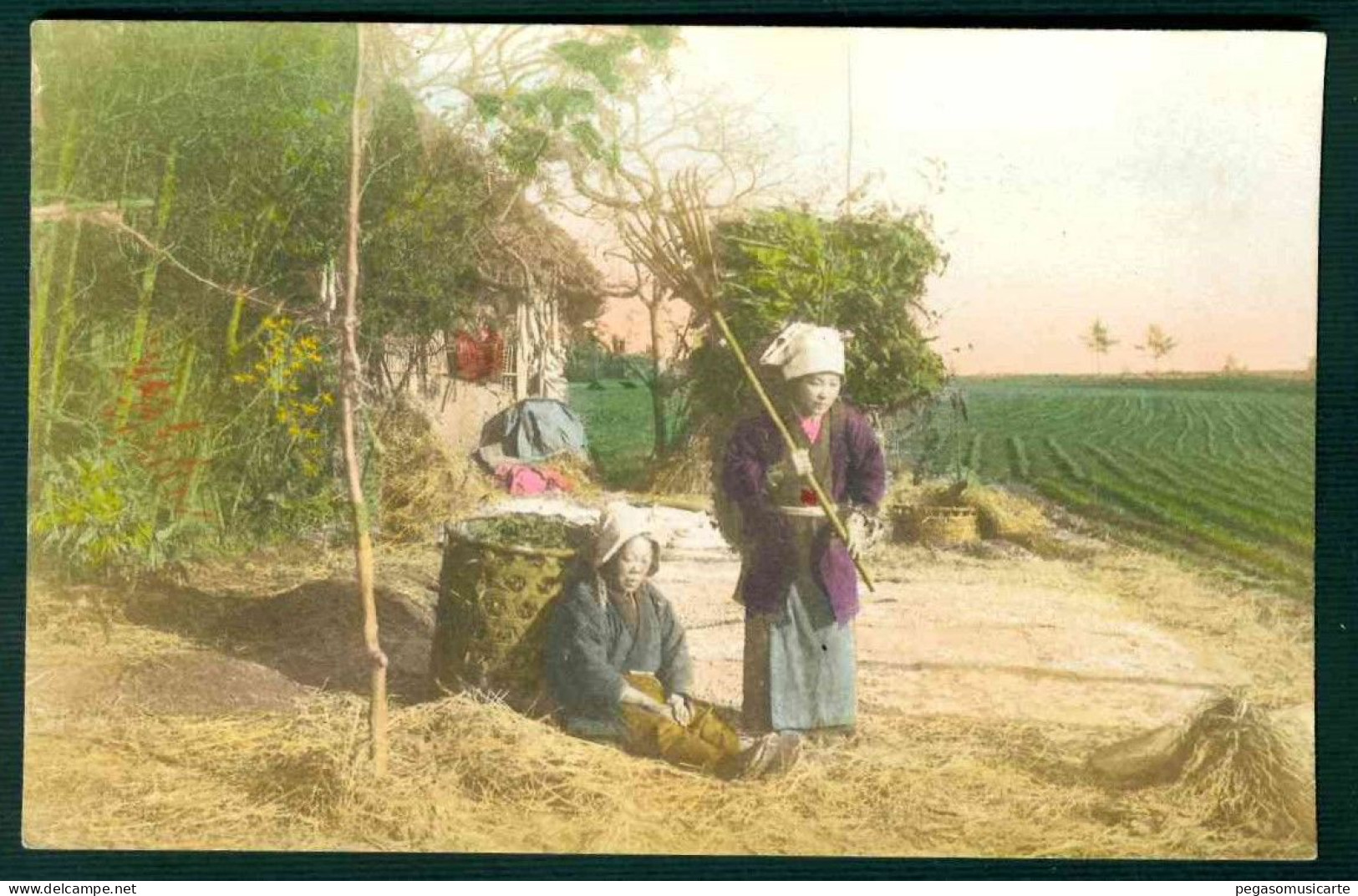 BJ004 JAPAN GIAPPONE WOMAN AT WORK FAMILY FARM OLD ORIGINAL POSTCARD - Other & Unclassified