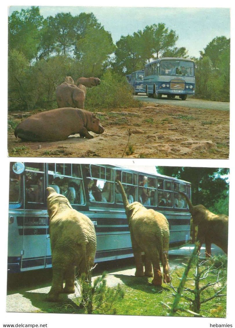 SAFARI RUHE ZOO - ELEPHANTS & HIPPOS - 2 Postcards Lot - MALLORCA ISLAS BALEARES - SPAIN - - Mallorca