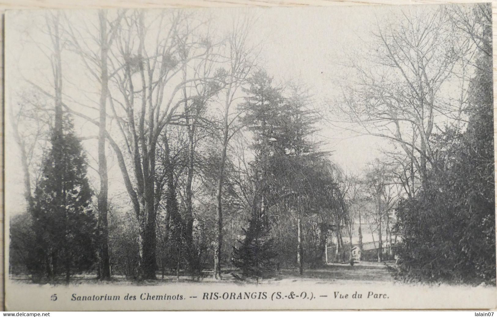 C. P. A. : 91 : RIS ORANGIS : Sanatorium Des Cheminots, Vue Du Parc - Ris Orangis
