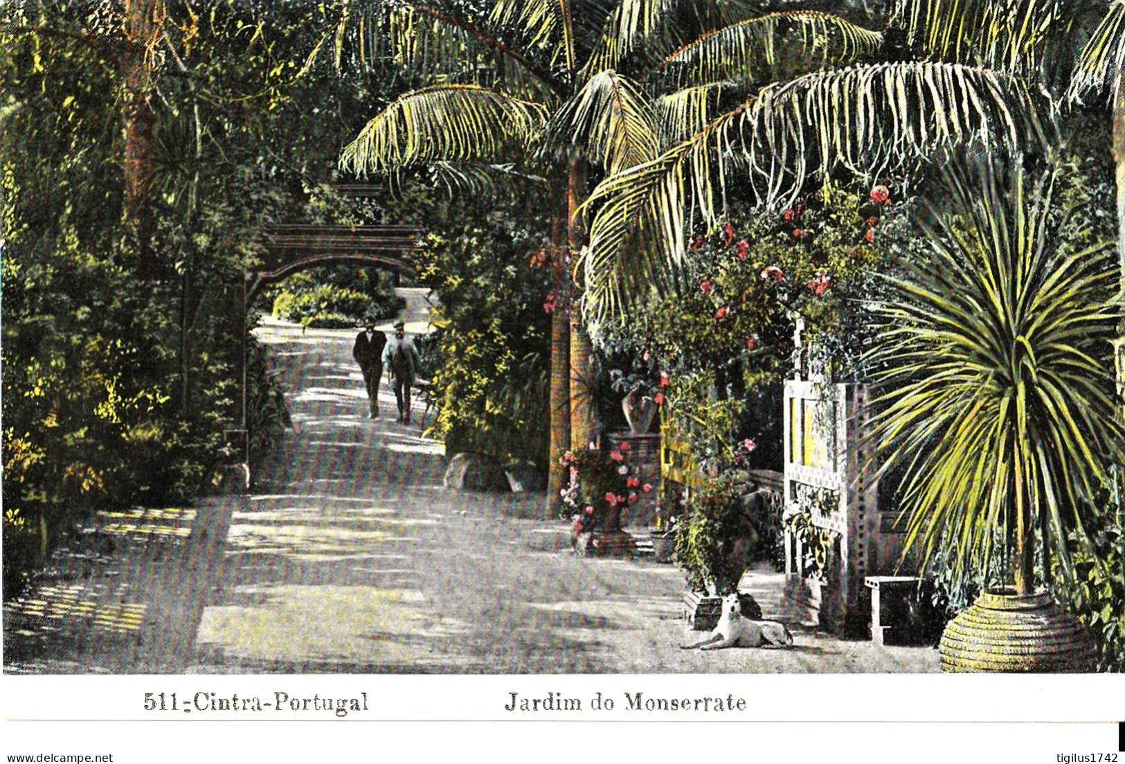 Cintra Jardim Do Monserrate - Andere & Zonder Classificatie