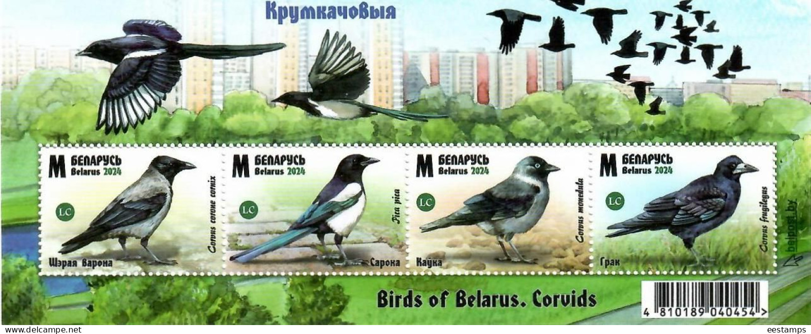 Belarus 2024 . Birds Of Belarus. Corvids. S/S - Bielorussia