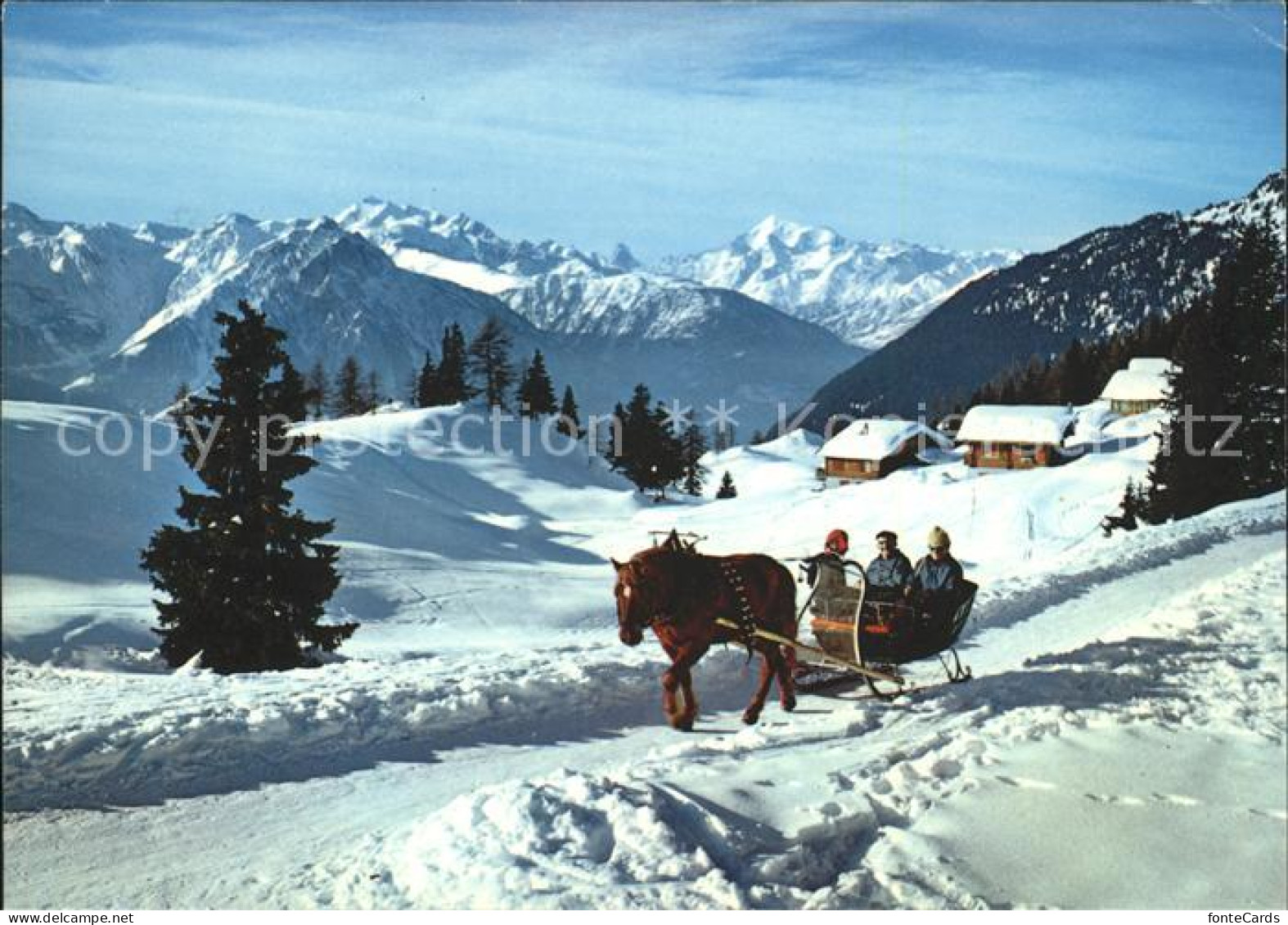 11851406 Riederalp Bettmeralp Mit Matterhorn Und Weisshorn Pferdeschlitten Riede - Autres & Non Classés