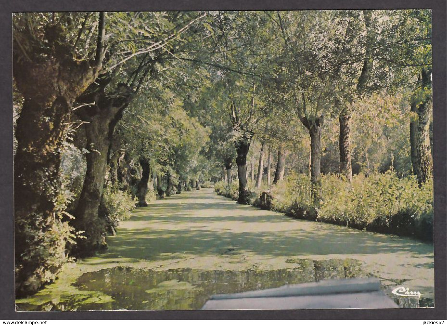 102806/ La Venise Verte, Une Conche Dans Le Marais Poitevin  - Sonstige & Ohne Zuordnung