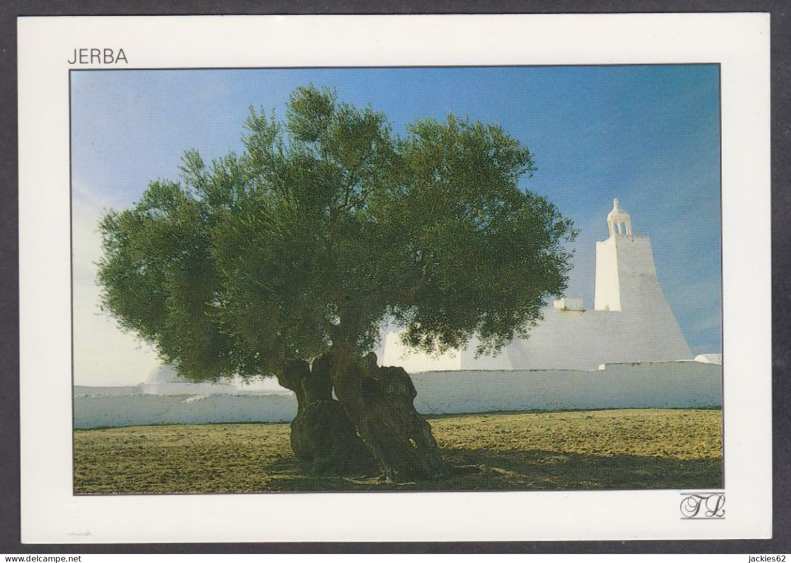127530/ Ile De Djerba, Olivier Millénaire Et Mosquée - Tunisia