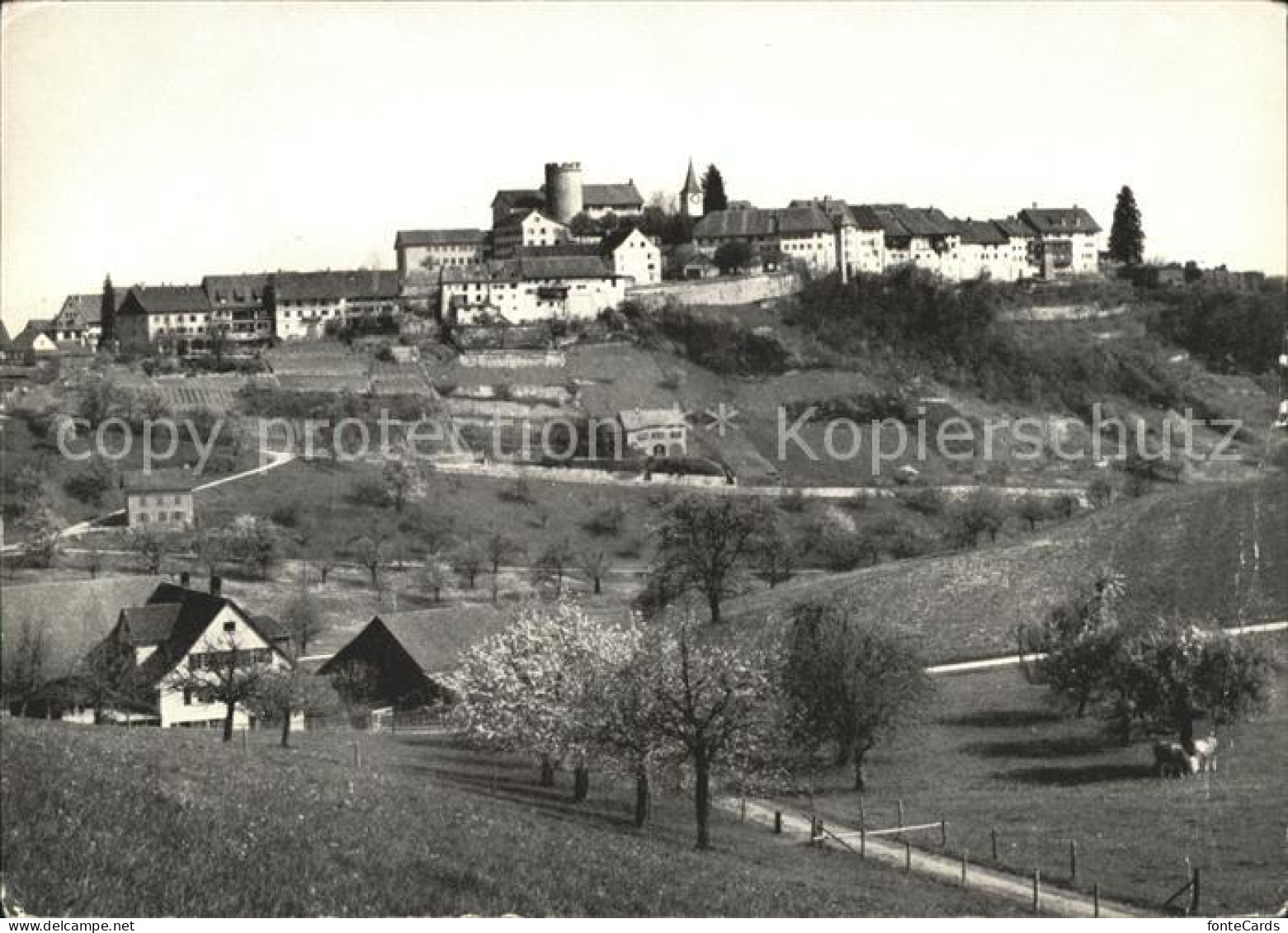 11849367 Regensberg Dielsdorf Gasthof Krone Teilansicht Regensberg - Other & Unclassified