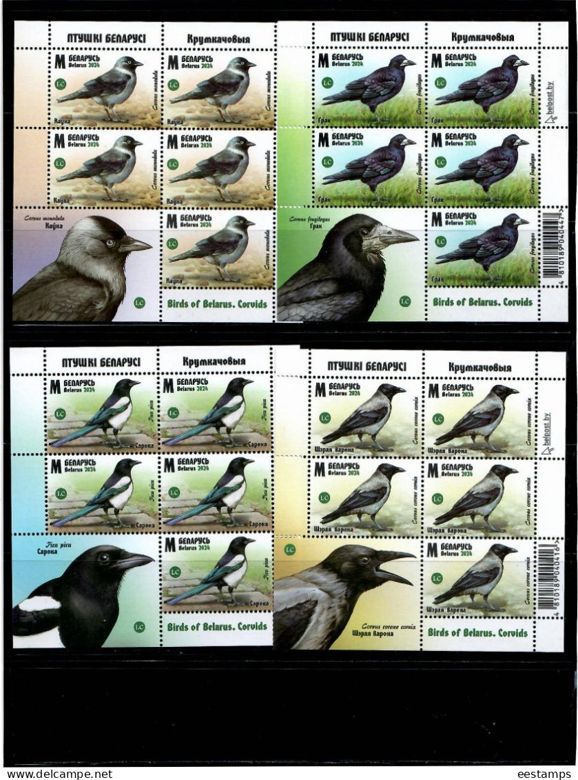 Belarus 2024 . Birds Of Belarus. Corvids. 4 M/S Of 5 + Label. - Belarus