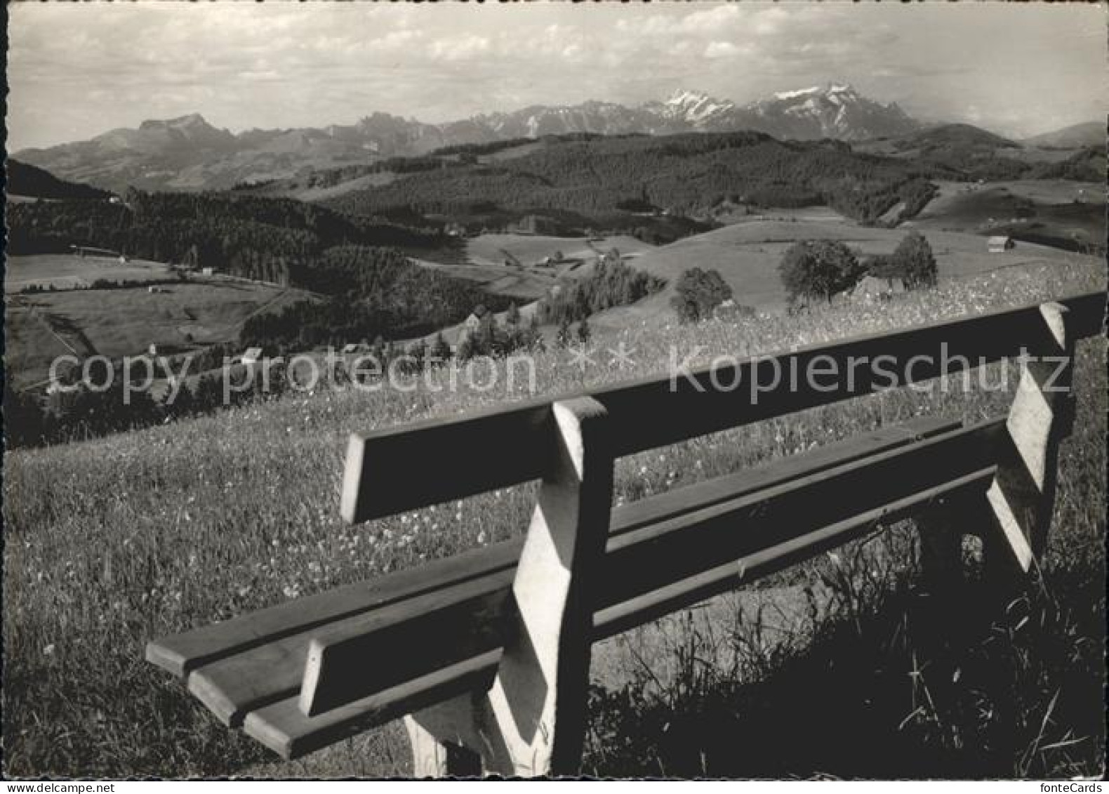 11849207 Wald AR Vorderland Tanne Blick Saentis Bank  - Sonstige & Ohne Zuordnung