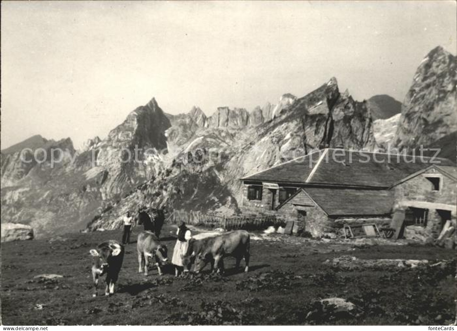 11848947 Wildhaus SG Gasthaus Schafboden Wildhaus - Sonstige & Ohne Zuordnung