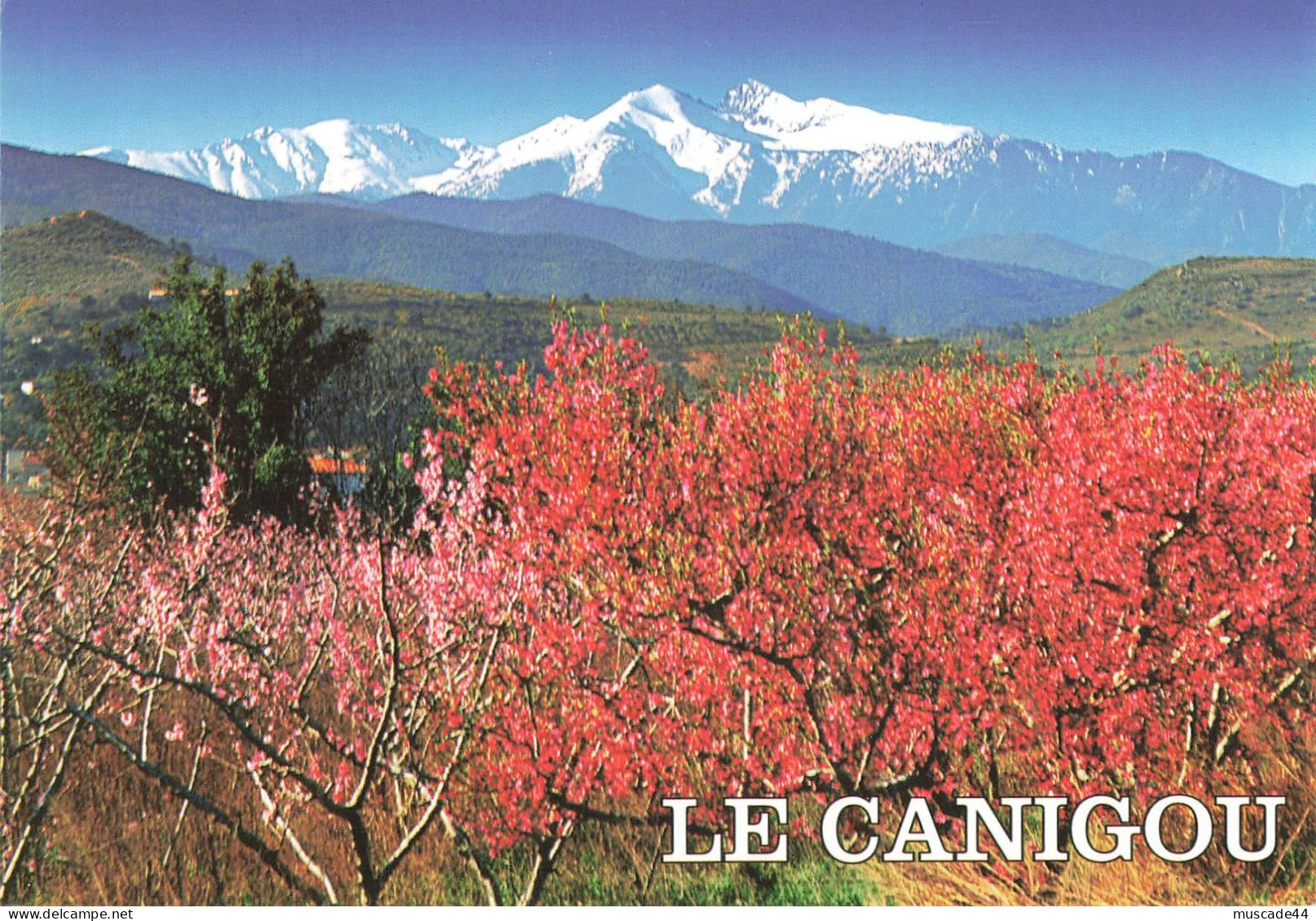 EN PAYS CATALAN - LE CANIGOU - VUE SUR LE CANIGOU - Autres & Non Classés