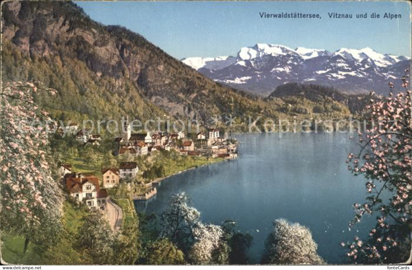 11848816 Vierwaldstaettersee SZ Vitznau Alpen Brunnen - Andere & Zonder Classificatie