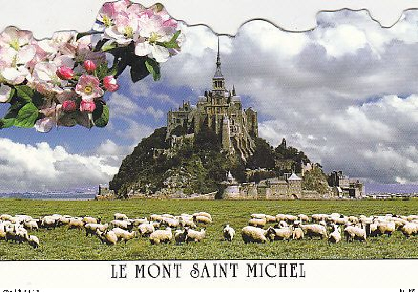 AK 211756 FRANCE - Le Mont-Saint-Michel - Le Mont Saint Michel