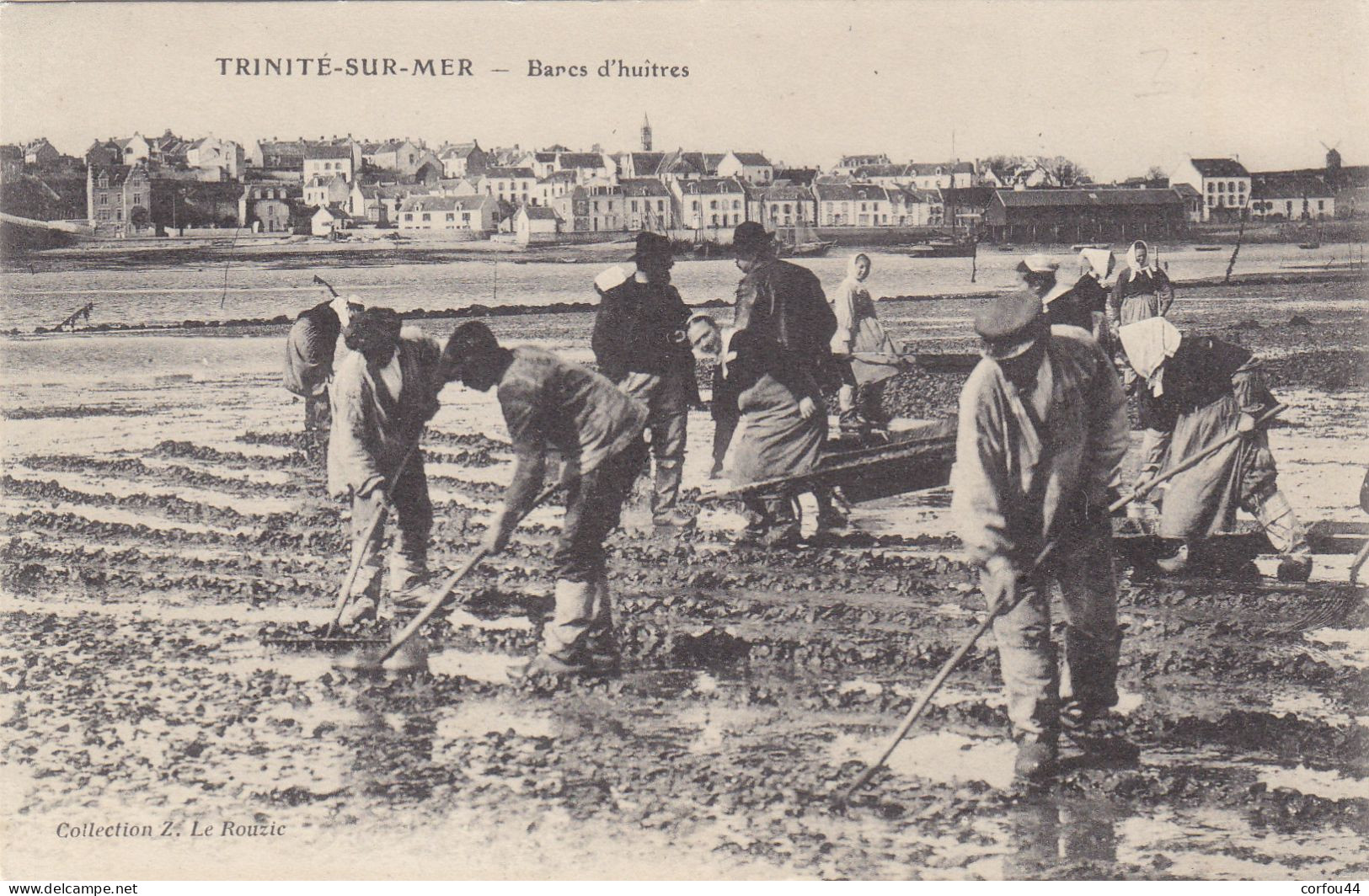 56 - LA TRINITE Sur MER : Bancs D'Huitres - Peu Courant. - La Trinite Sur Mer