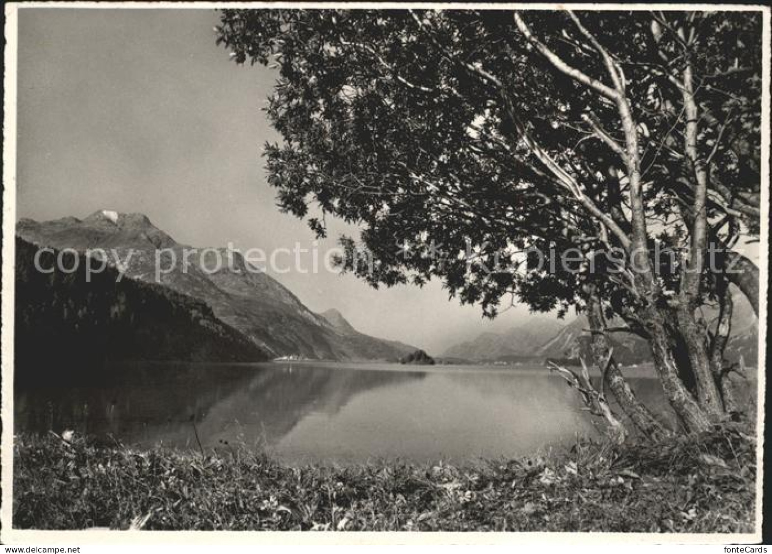 11847007 Silsersee Mit Piz Della Margna Isola Und Maloja Silsersee - Sonstige & Ohne Zuordnung