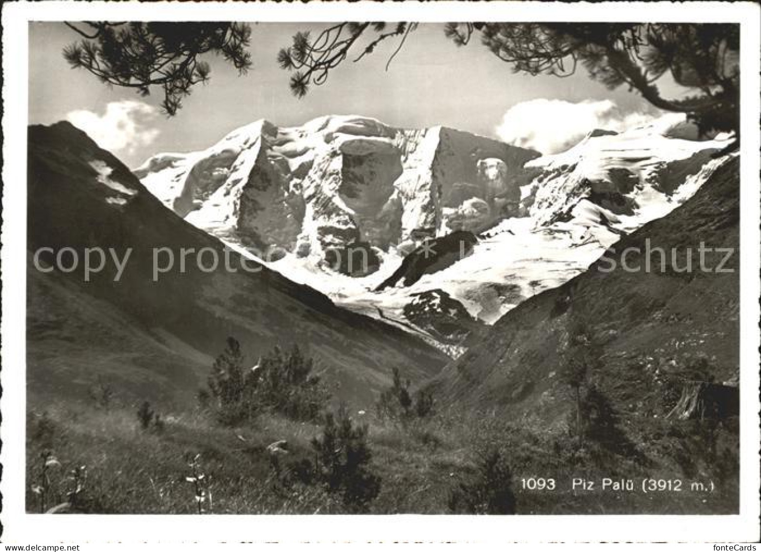 11846967 Piz Palue Panorama Piz Palue - Sonstige & Ohne Zuordnung