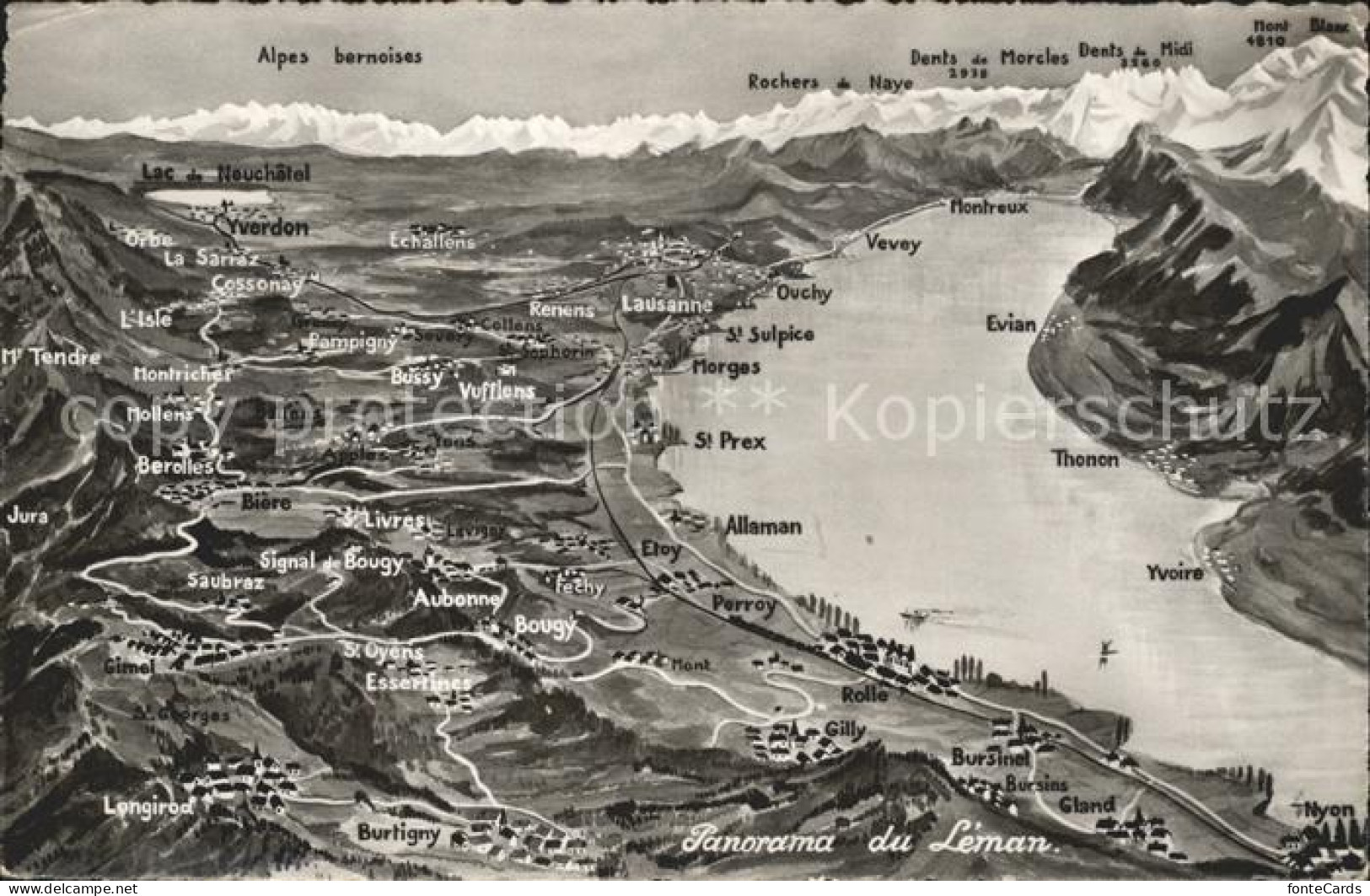 11846747 Lac Leman Genfersee Panoramakarte Genf - Andere & Zonder Classificatie