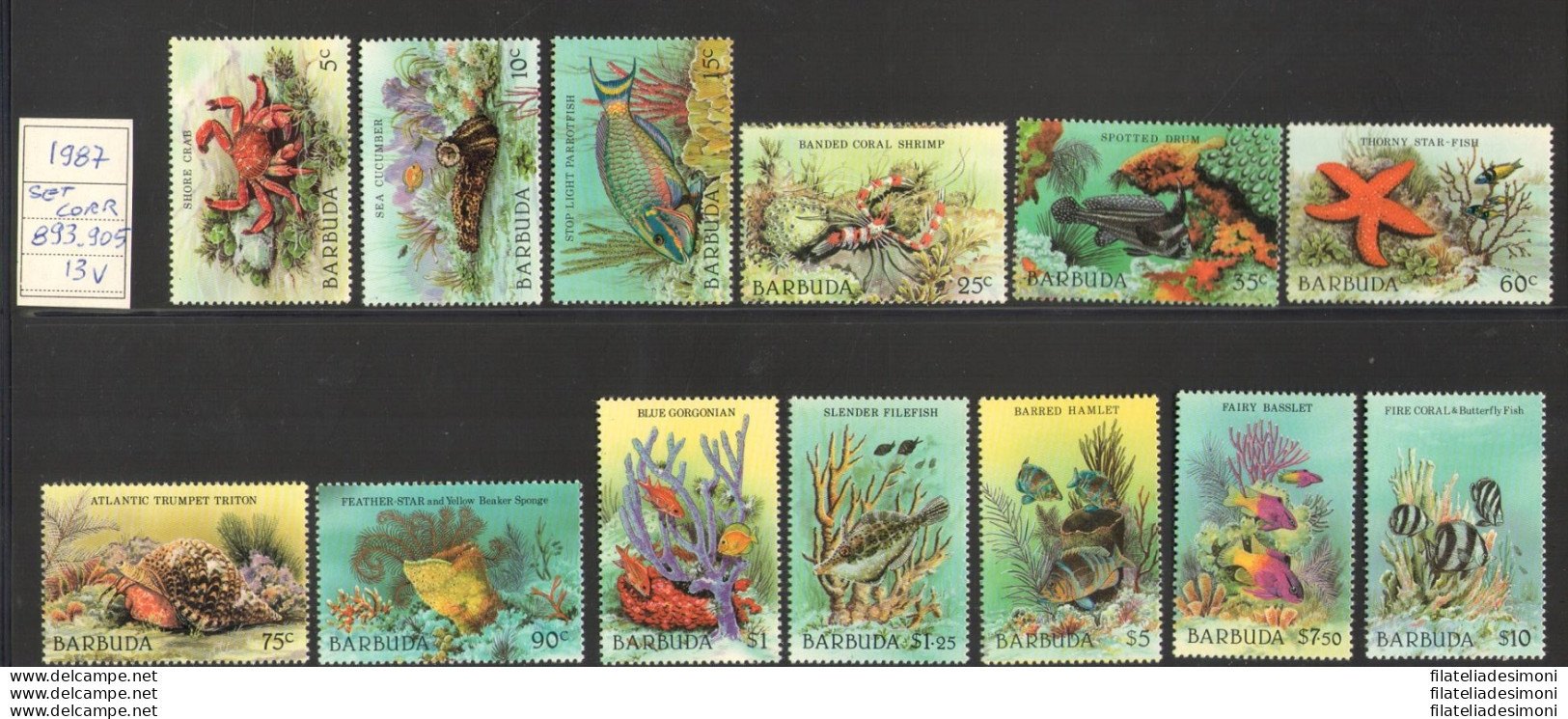 1987 Barbuda - Yvert Et Tellier N. 893-905 - Serie Ordinaria - Fauna Marina - 13 Valori - MNH** - Autres & Non Classés