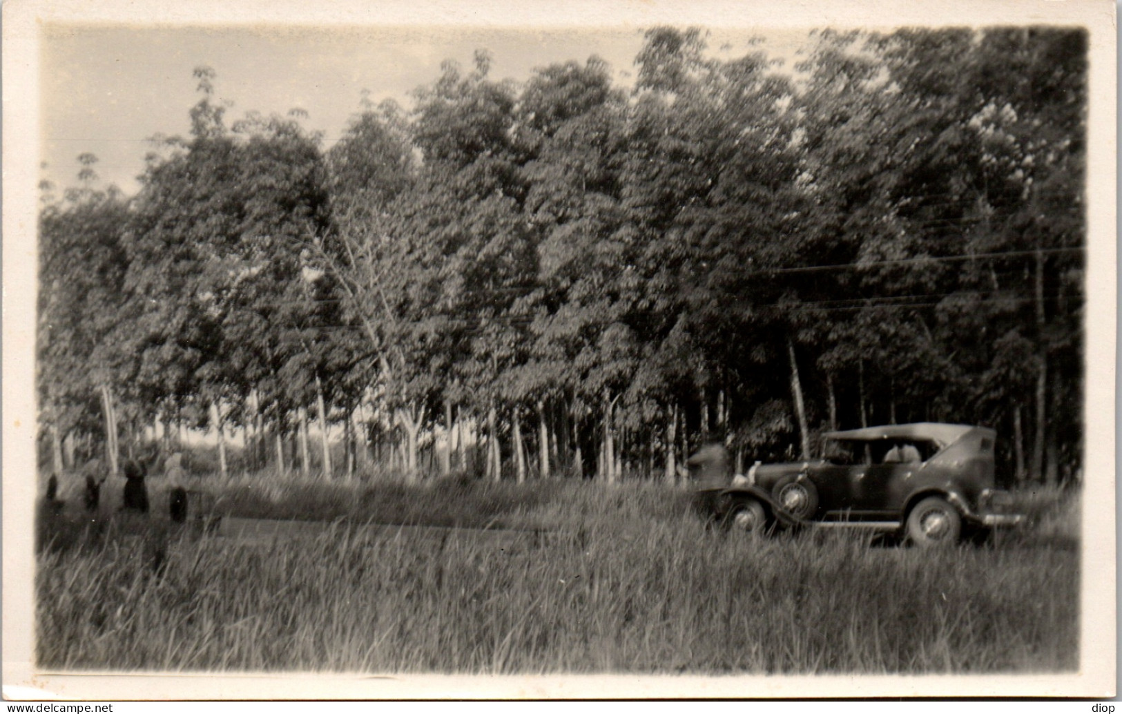 Photographie Photo Vintage Snapshot Amateur Automobile Voiture Auto D&eacute;capotable  - Automobile