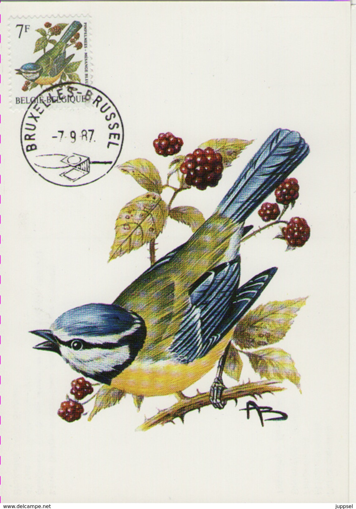 MC BUZIN / Mésange Bleu / Pimpelmees / Parus Caerulus / Blue Tit / Blaumeise  1987 - Passereaux