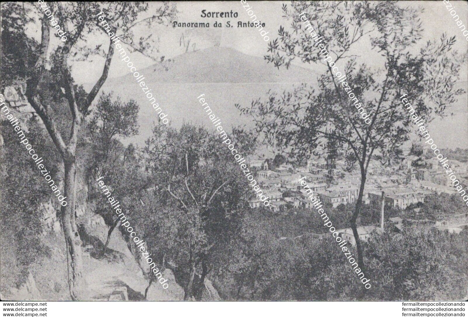 At177  Cartolina Sorrento Panorama D S.antonio Provincia Di Napoli - Napoli (Neapel)