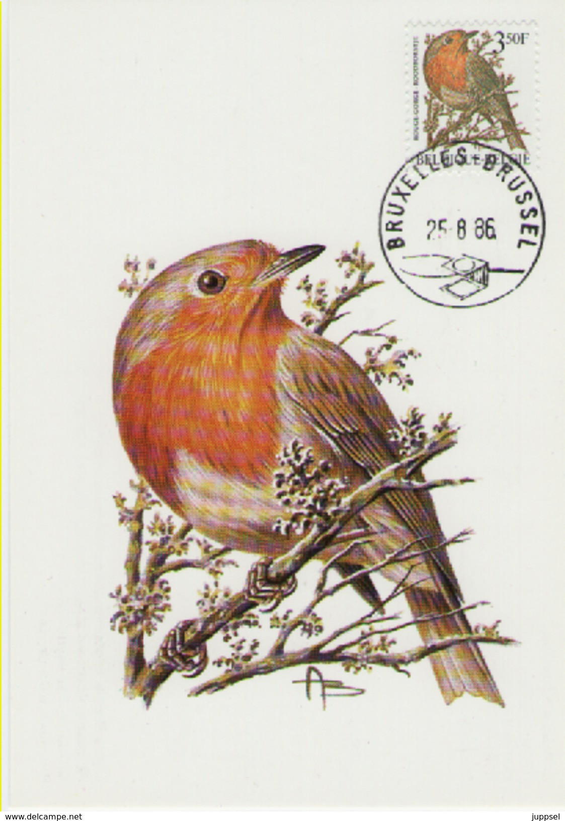 MC BUZIN / Rouge - Gorge / Rooodborstje / Erithacus Rubecula  / Robin  / Rotkehlchen   1986 - Sperlingsvögel & Singvögel