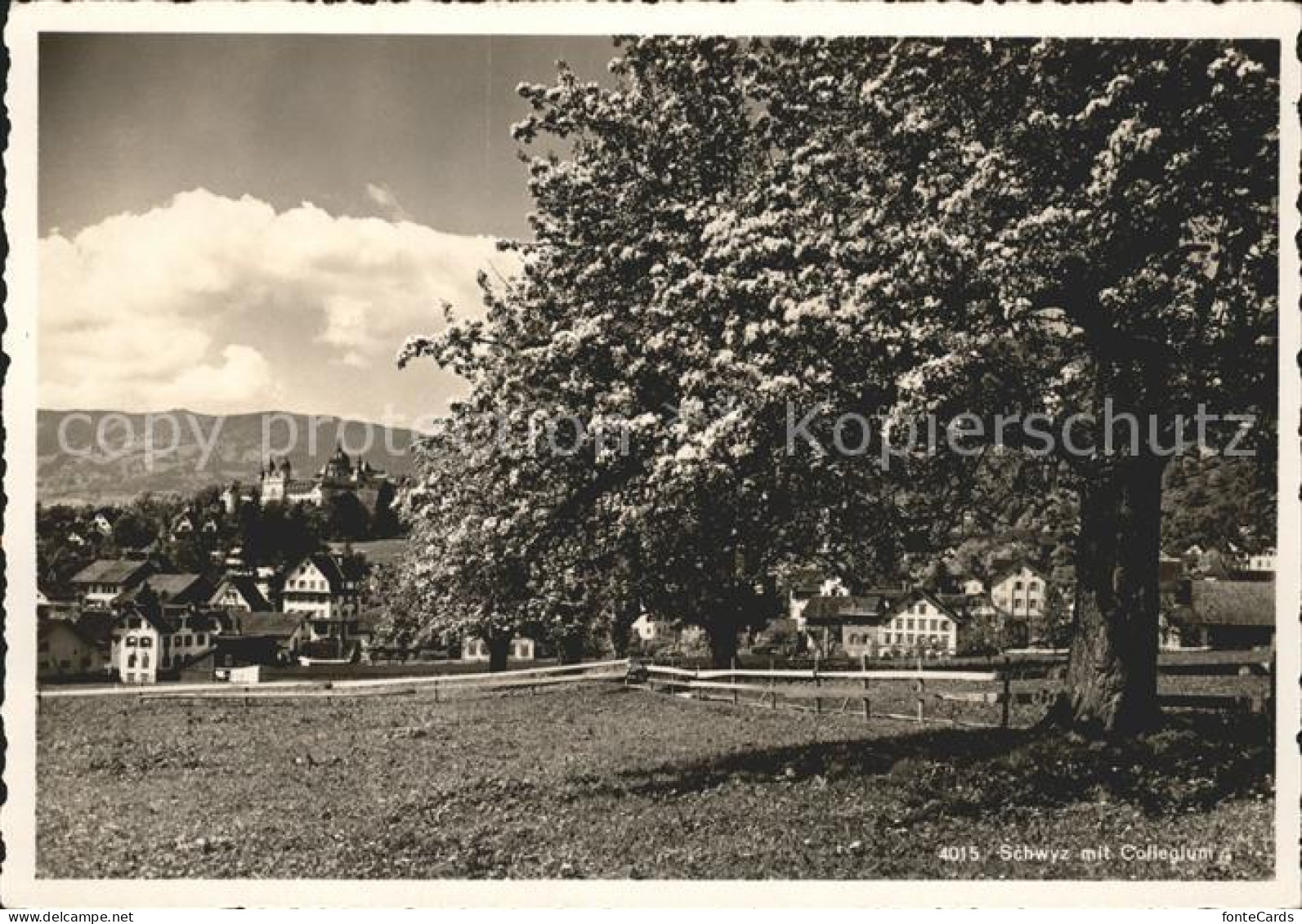 11837226 Schwyz Collegium Schwyz - Autres & Non Classés