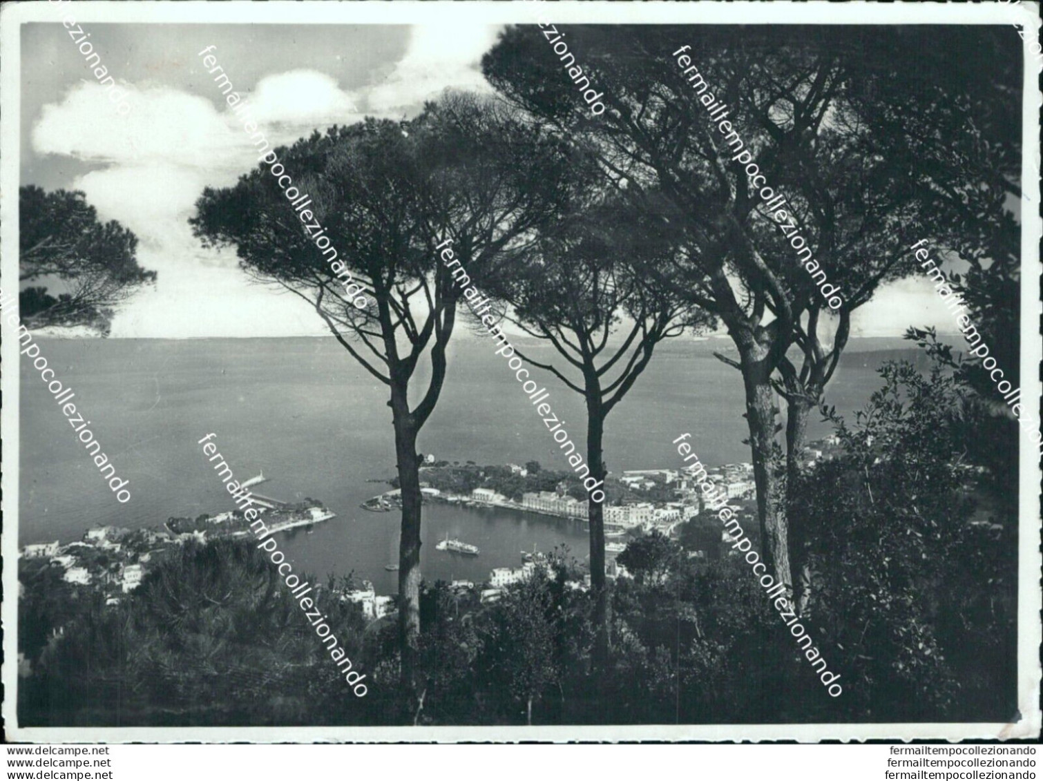 Bi395 Cartolina Porto D'ischia Panorama Generale Provincia Di Napoli - Napoli (Naples)