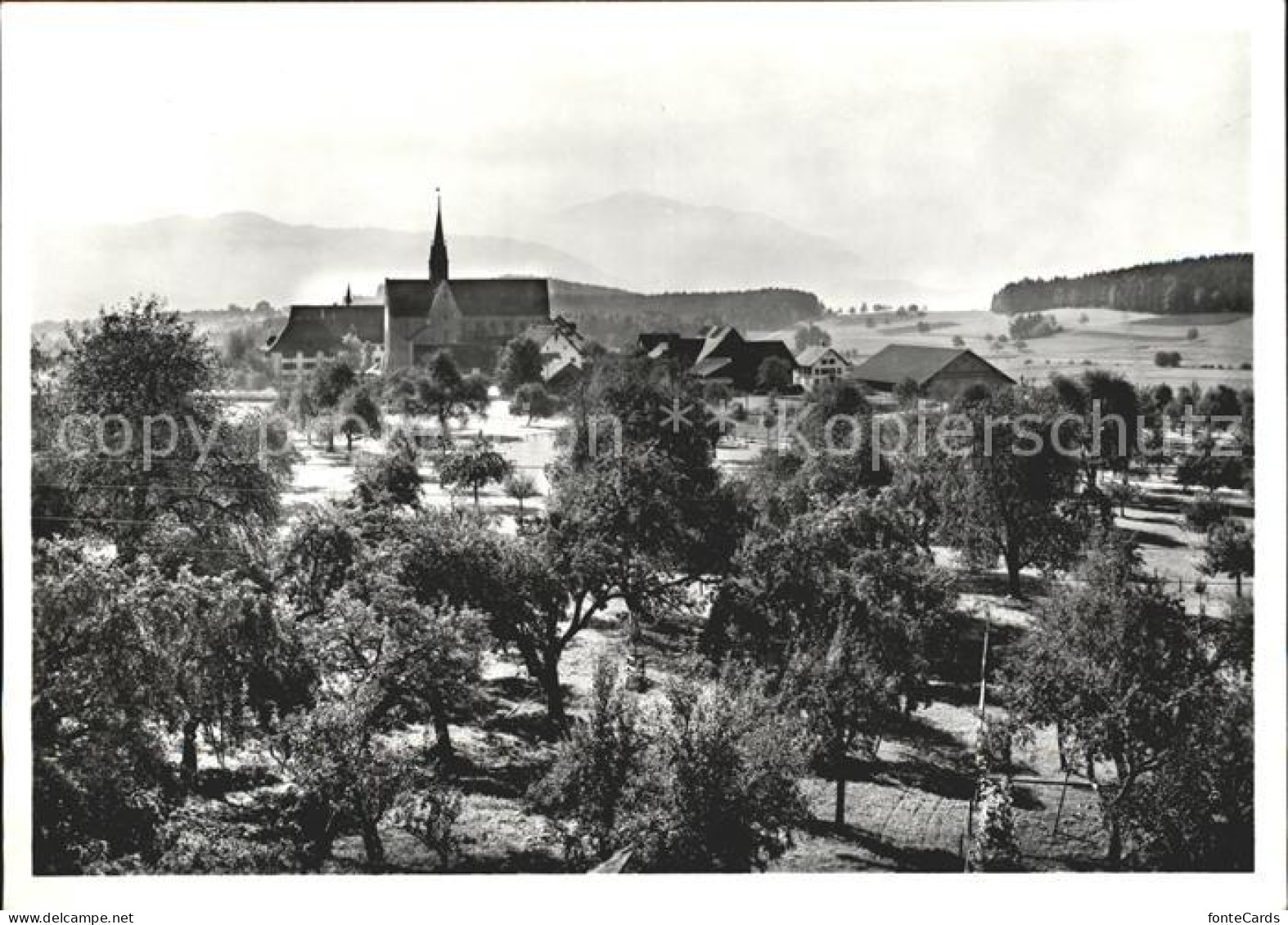 11837116 Kappel Albis Aussicht A.d. Naefenhaus Kappel Albis - Sonstige & Ohne Zuordnung