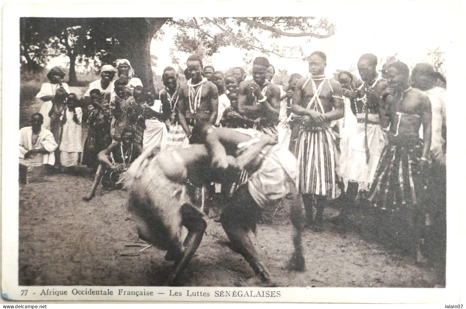 C. P. A. : Sénégal : Les Luttes Sénégalaises, En 1946 - Senegal