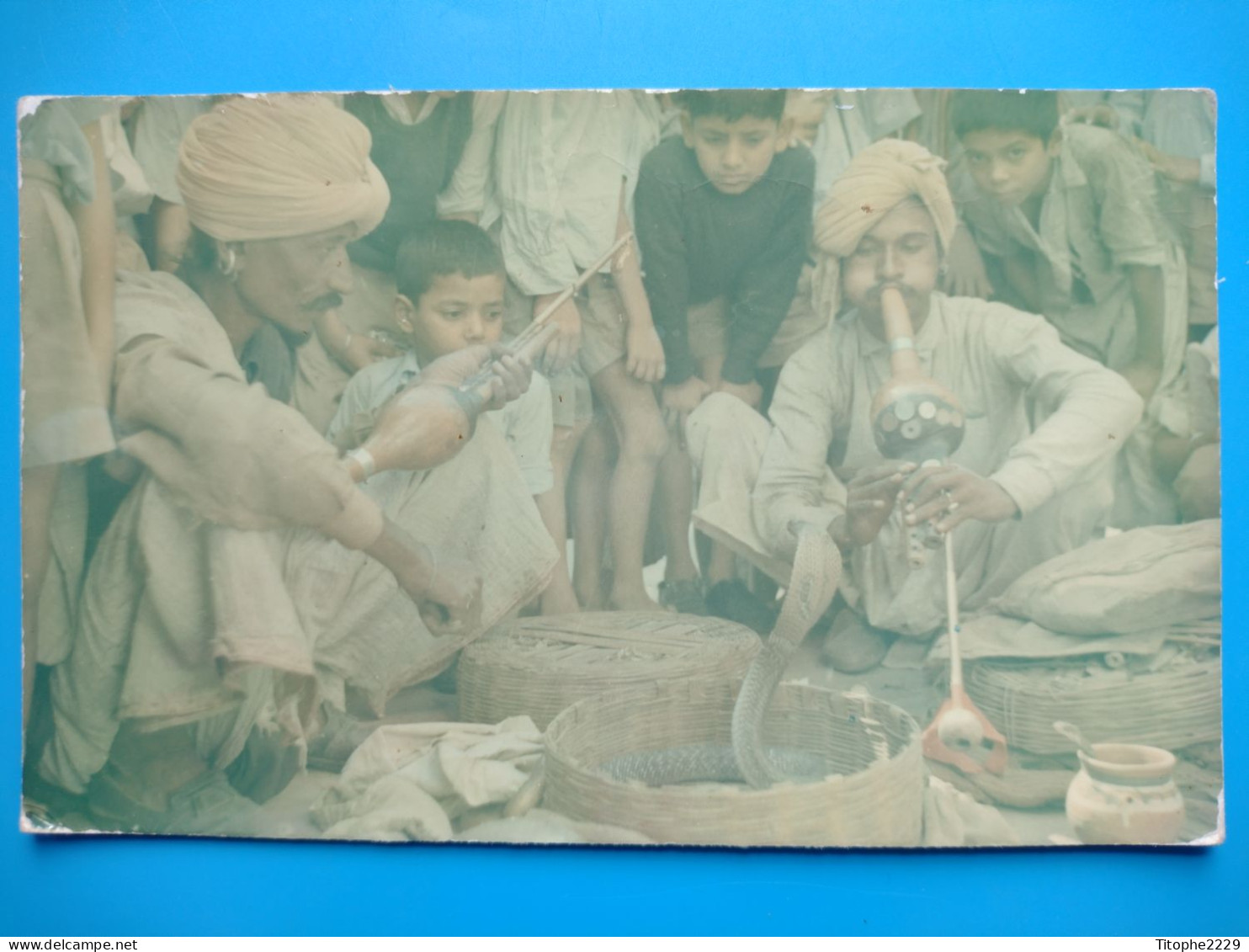 INDE - Snake Charmer - India