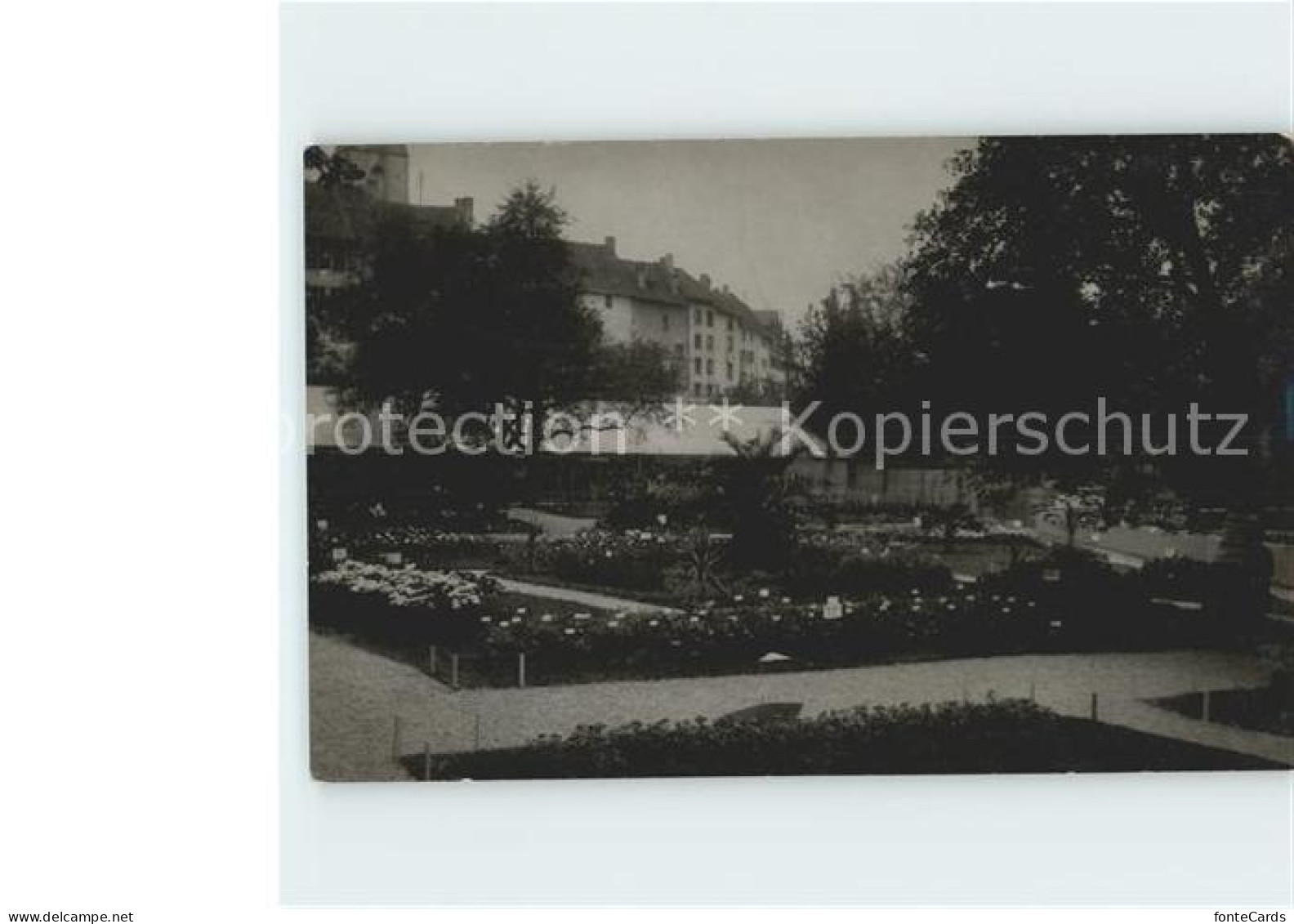 11834396 Wollishofen Stadtpark Wollishofen - Other & Unclassified