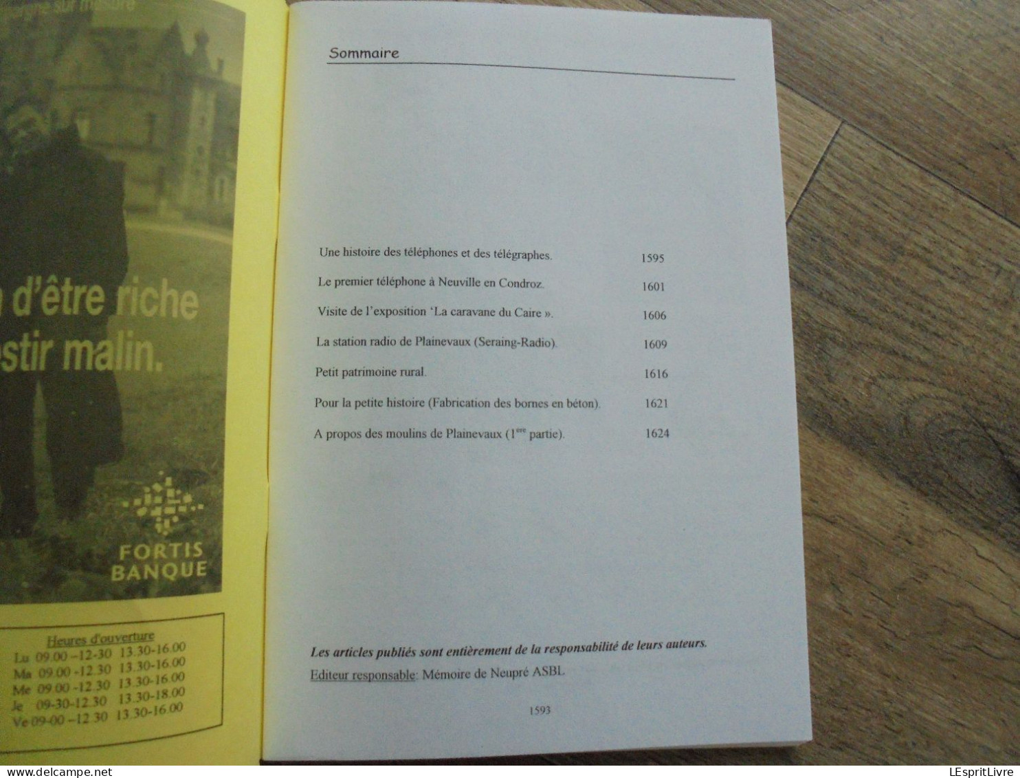 MEMOIRE DE NEUPRE N° 42 Régionalisme Téléphone Télégraphe Neuville Condroz Radio Plainevaux Moulin Moulins Bornes - Belgique