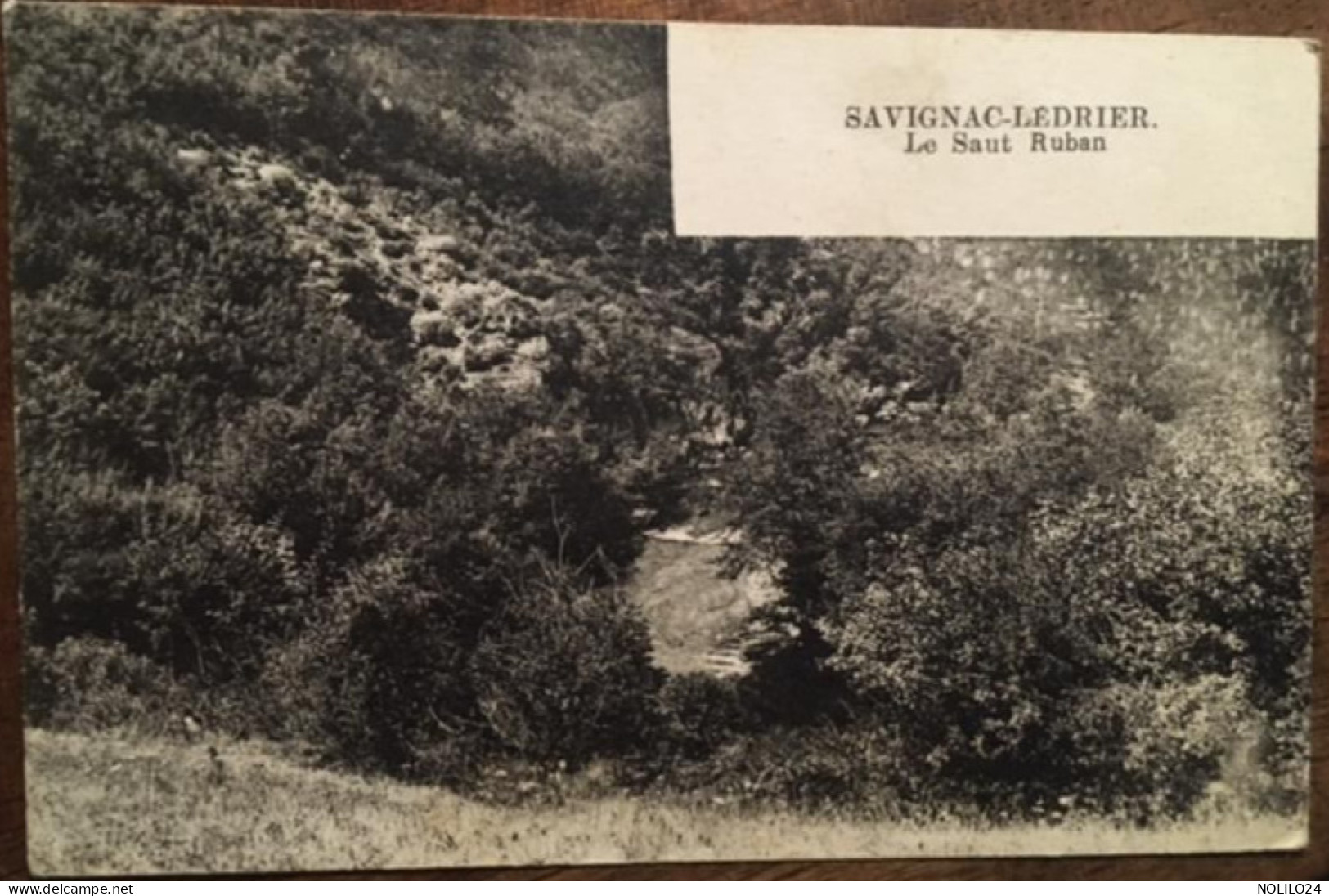 Cp 24 Dordogne, SAVIGNAC-LEDRIER, Le Saut Ruban, écrite En 1936 - Autres & Non Classés