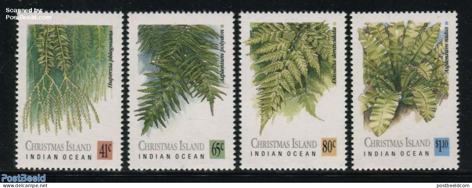 Christmas Islands 1989 Ferns 4v, Mint NH, Nature - Flowers & Plants - Christmaseiland