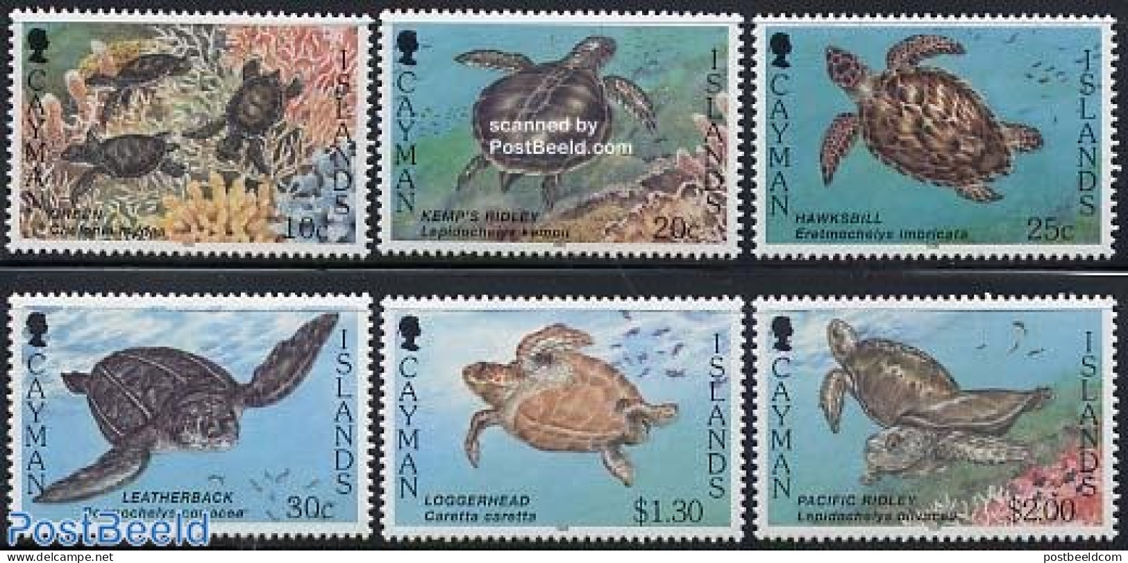 Cayman Islands 1995 Turtles 6v, Mint NH, Nature - Reptiles - Turtles - Cayman (Isole)
