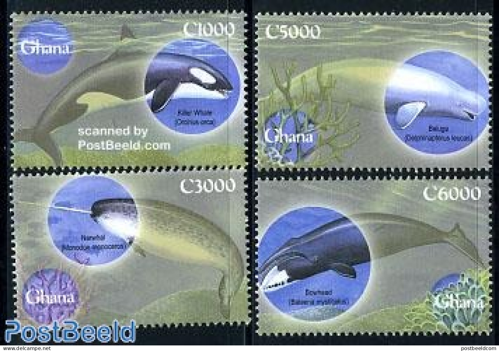 Ghana 2001 Sea Mammals 4v, Mint NH, Nature - Sea Mammals - Sonstige & Ohne Zuordnung