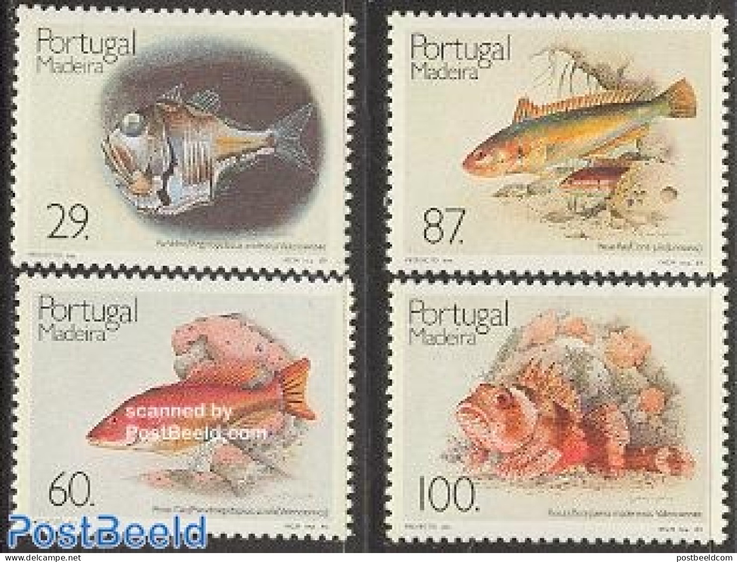 Madeira 1989 Fish 4v, Mint NH, Nature - Fish - Fishes