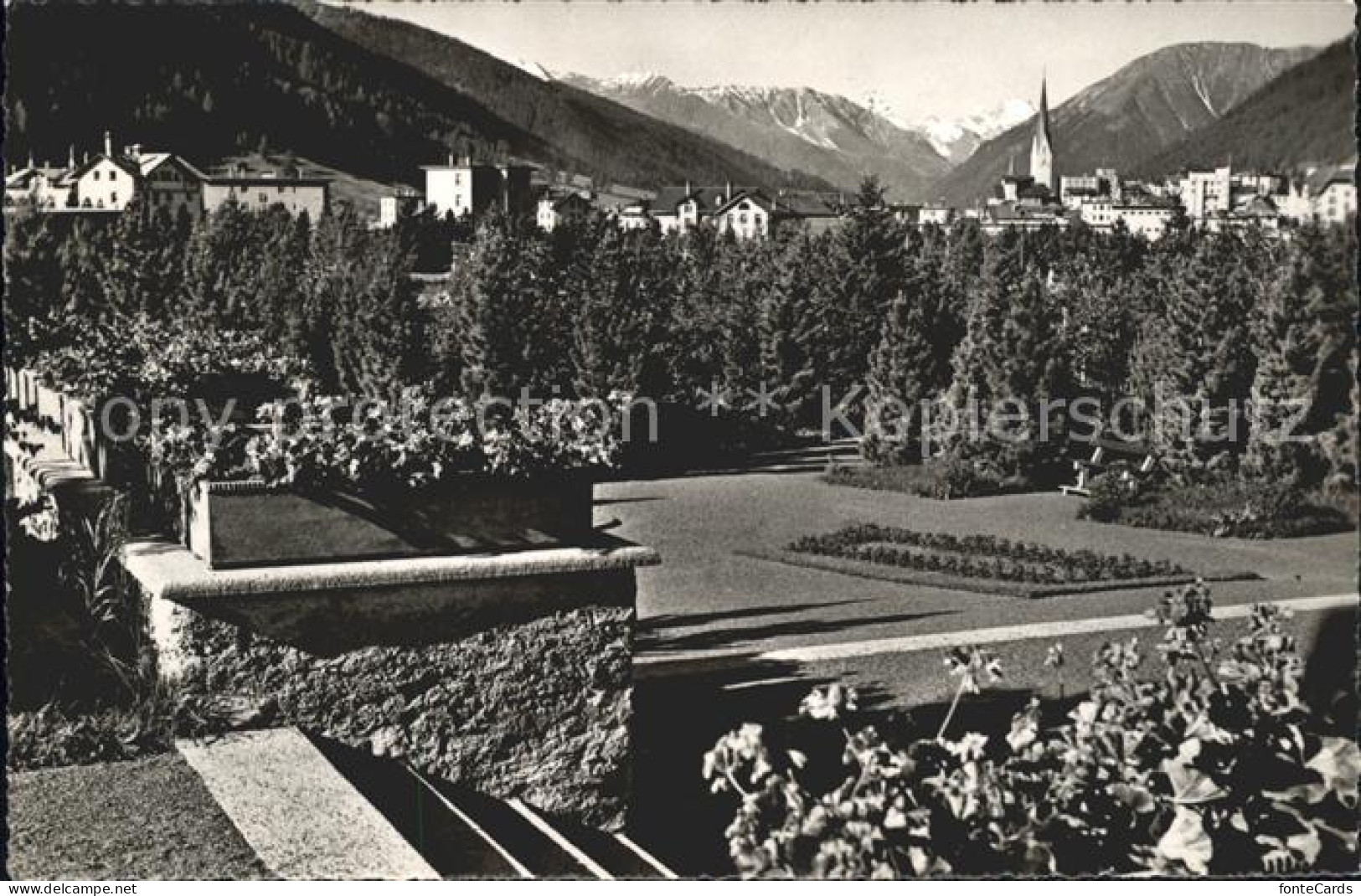 11781217 Davos GR Im Kurpark Tinzenhorn Und Piz Michel Davos Platz - Otros & Sin Clasificación