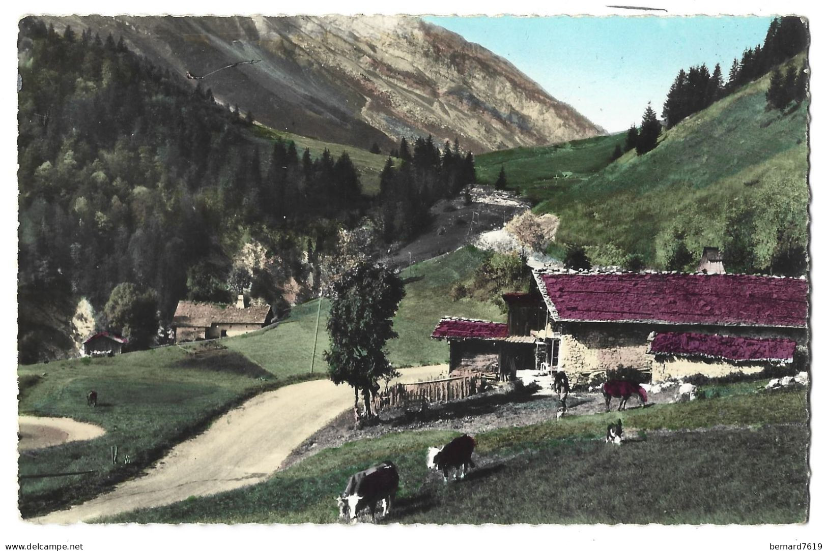 73  Route  Du  Col Des Aravis 1500 M  Entre Le Col Et La Giettaz - Autres & Non Classés