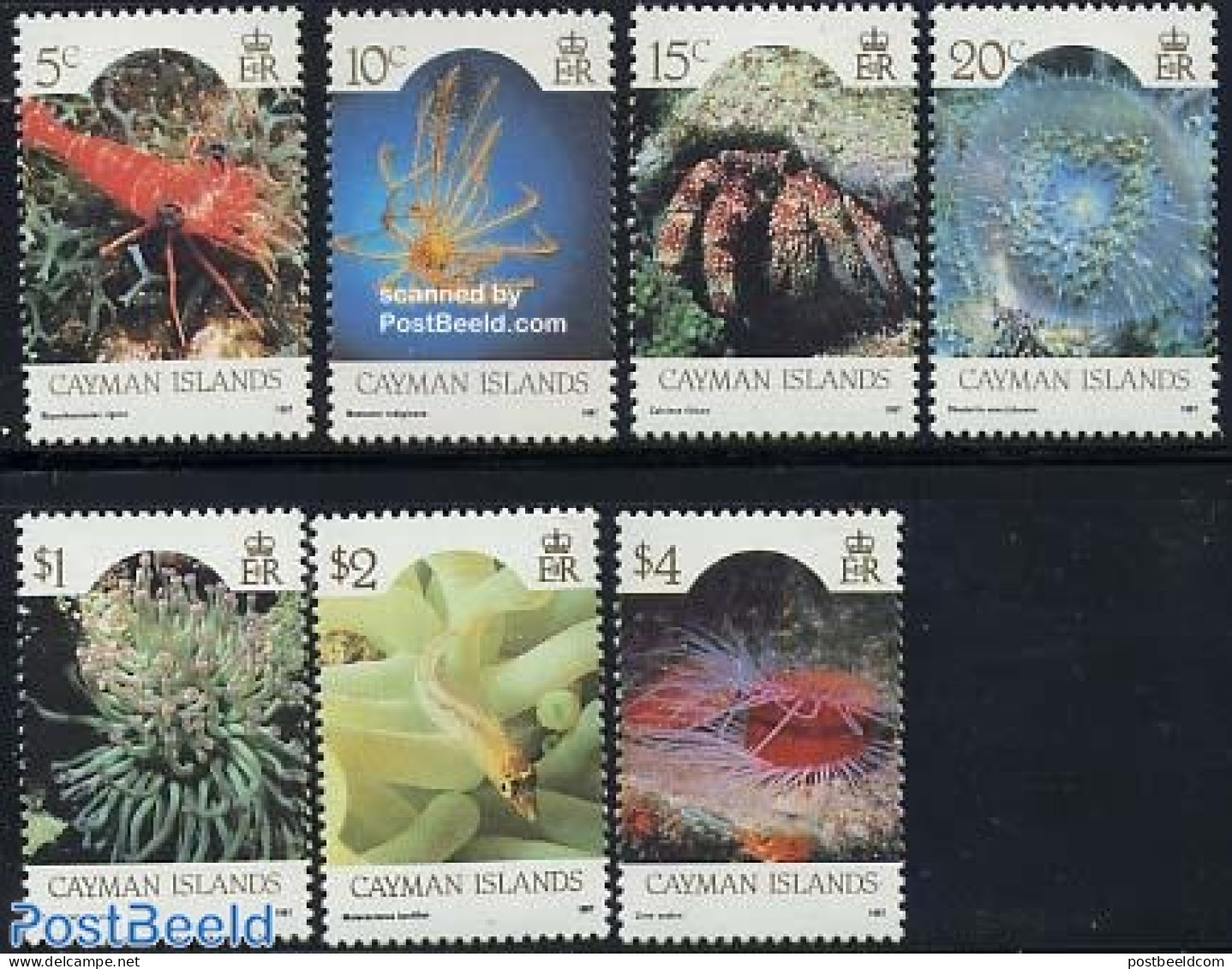Cayman Islands 1987 Marine Life 7v (with Year 1987), Mint NH, Nature - Shells & Crustaceans - Crabs And Lobsters - Vie Marine