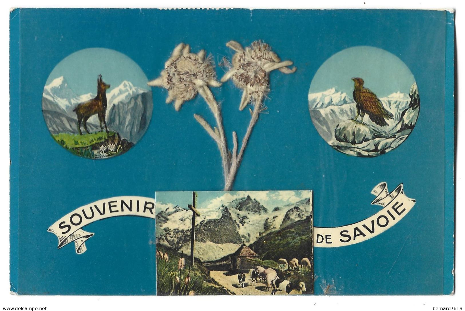 73   Souvenir De Savoie - Avec Fleurs Naturelles  Sous Plastique - Andere & Zonder Classificatie