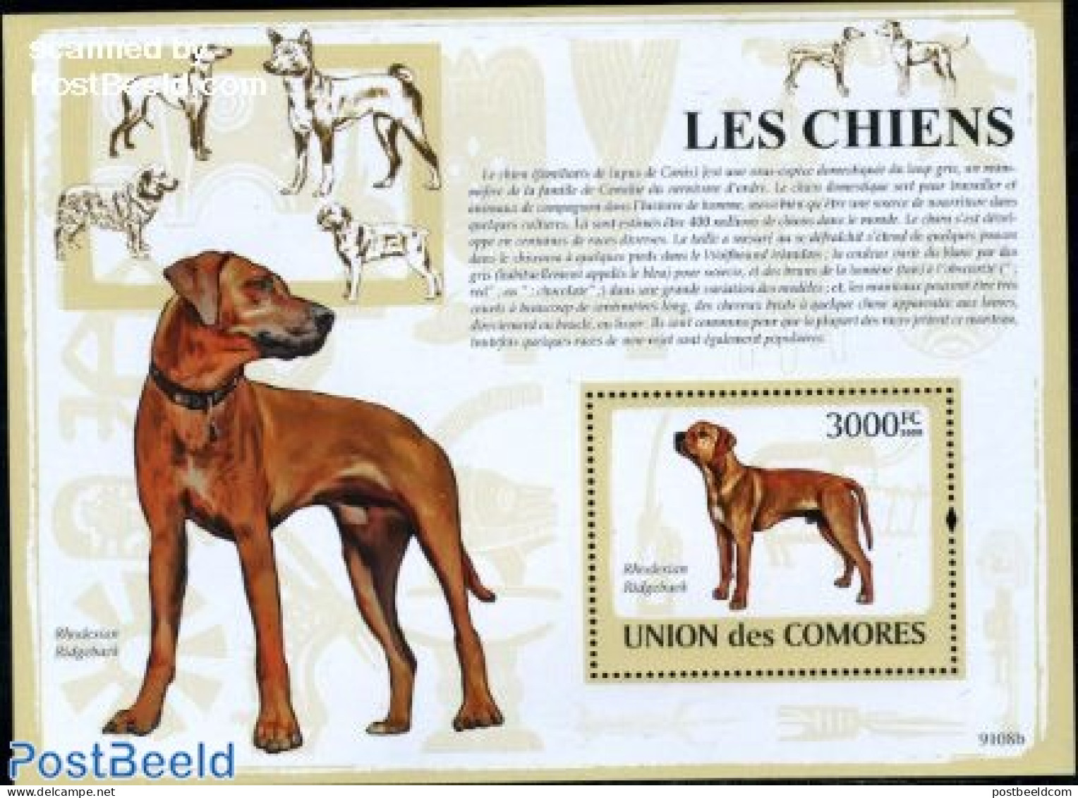 Comoros 2009 Dogs S/s, Mint NH, Nature - Dogs - Komoren (1975-...)