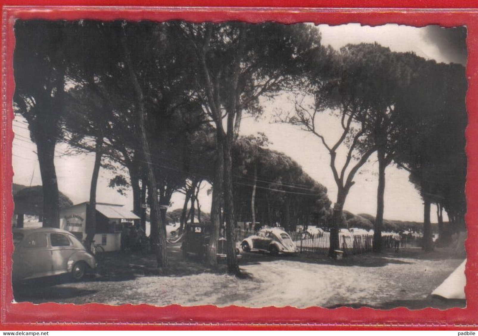 Carte Postale 06. Mandelieu La Napoule   Camp De La Pinède   Très Beau Plan - Autres & Non Classés