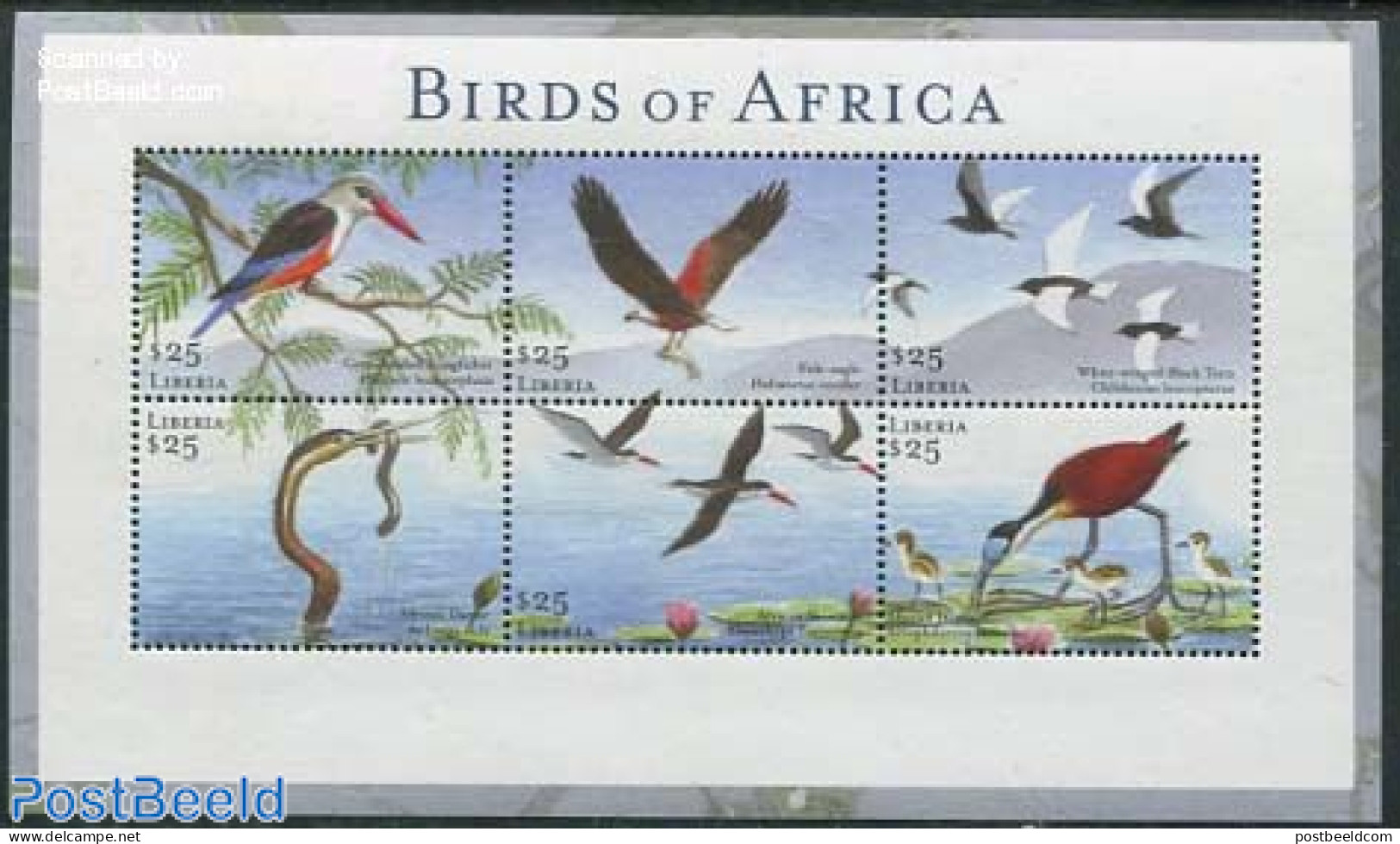 Liberia 2001 Birds Of Africa 6v M/s, Mint NH, Nature - Birds - Fish - Kingfishers - Fische