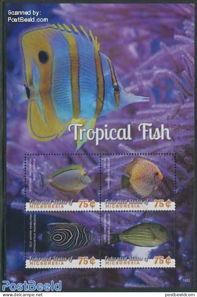 Micronesia 2014 Tropical Fish 4v M/s, Mint NH, Nature - Fish - Poissons