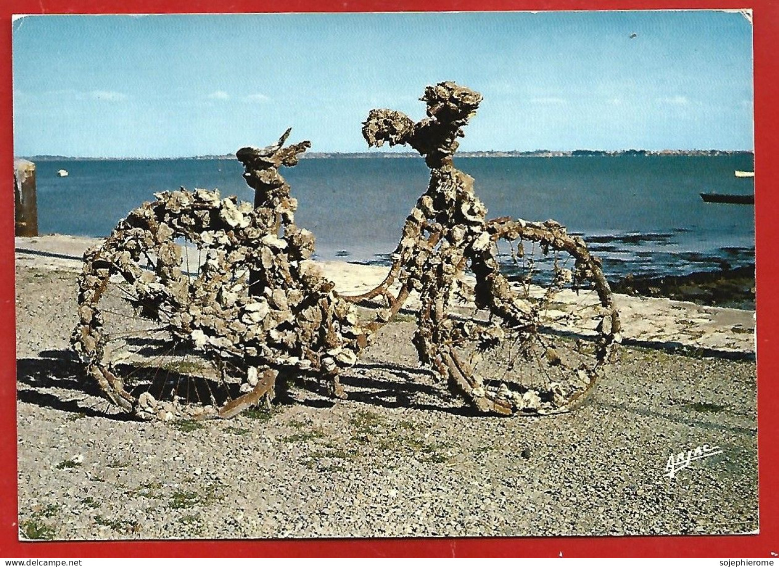 Le Château-d'Oléron (île D'Oléron 17) Sur Le Port Vélo Couvert De Coquillages Après 3 Ans D'immersion 2scans - Ile D'Oléron