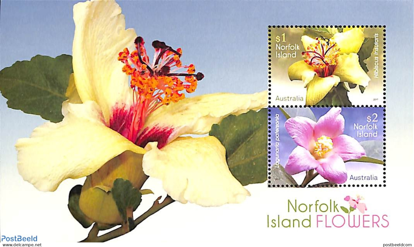 Norfolk Island 2017 Flowers S/s, Mint NH, Nature - Flowers & Plants - Andere & Zonder Classificatie