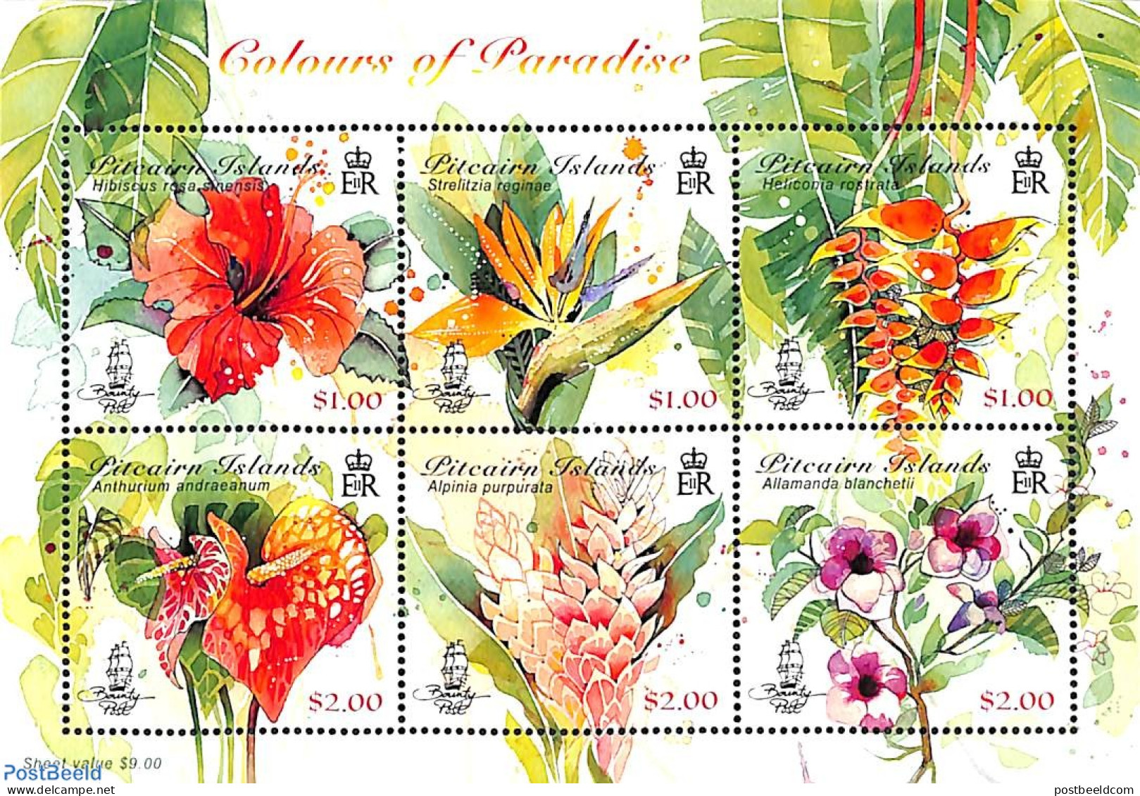 Pitcairn Islands 2018 Flowers 6v M/s, Mint NH, Nature - Flowers & Plants - Autres & Non Classés