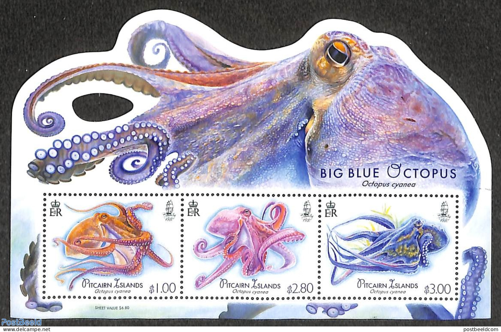 Pitcairn Islands 2018 Octopus S/s, Mint NH - Sonstige & Ohne Zuordnung