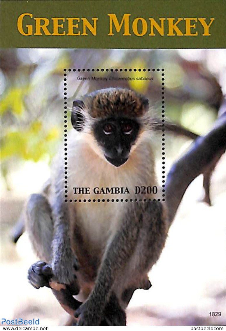 Gambia 2018 Green Monkey S/s, Mint NH, Nature - Animals (others & Mixed) - Monkeys - Gambie (...-1964)